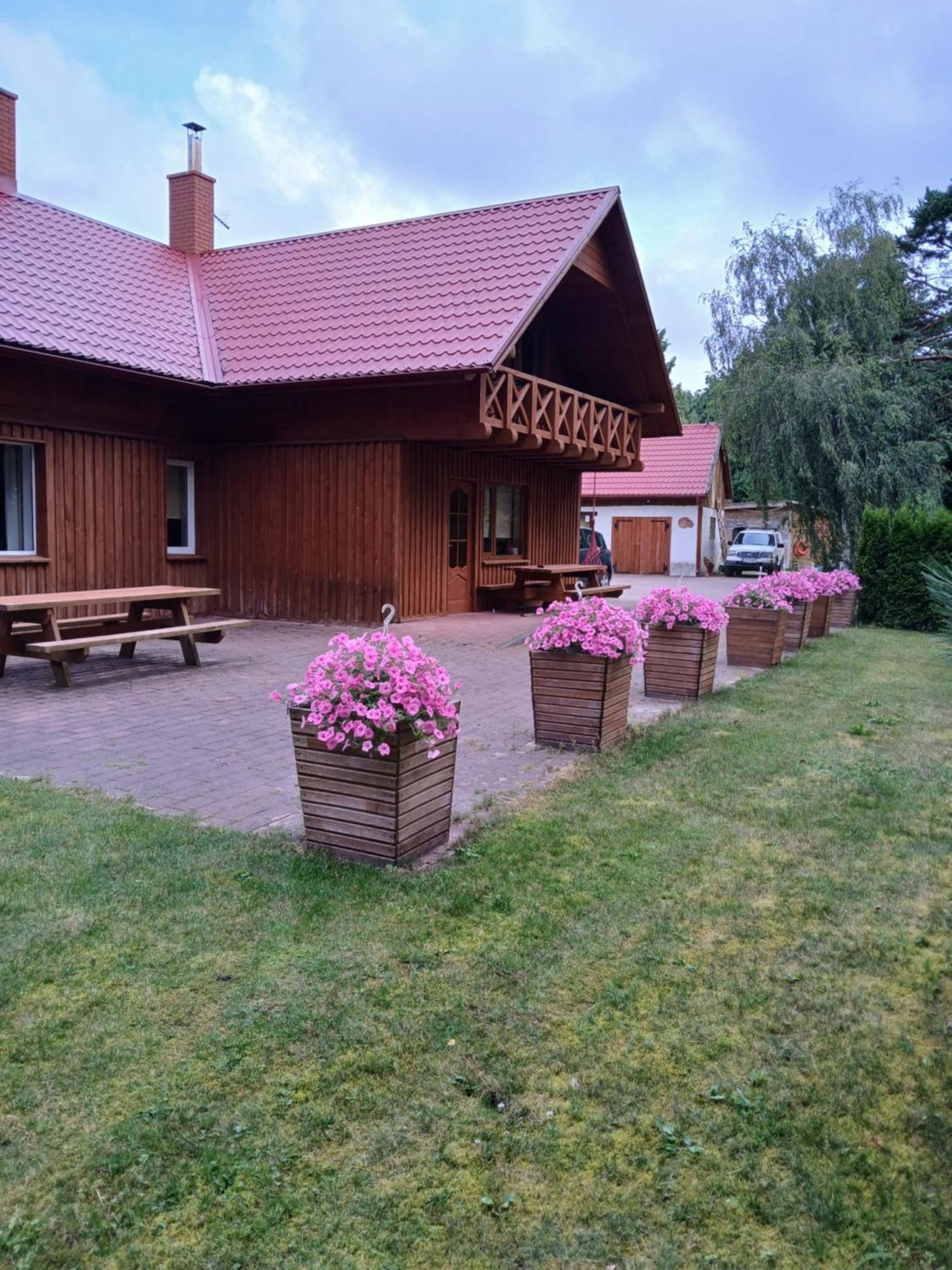 Guest House Vilcini Bernāti المظهر الخارجي الصورة